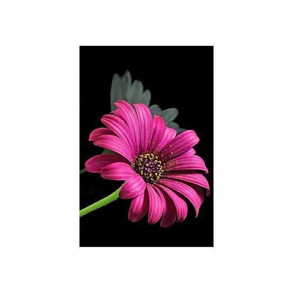 Set creativ cu diamante rotunde Diamond Painting Nature 15x10 cm Toi-Toys TT47160Z