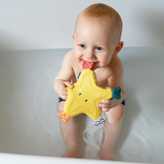 Burete baie - Steluta de mare