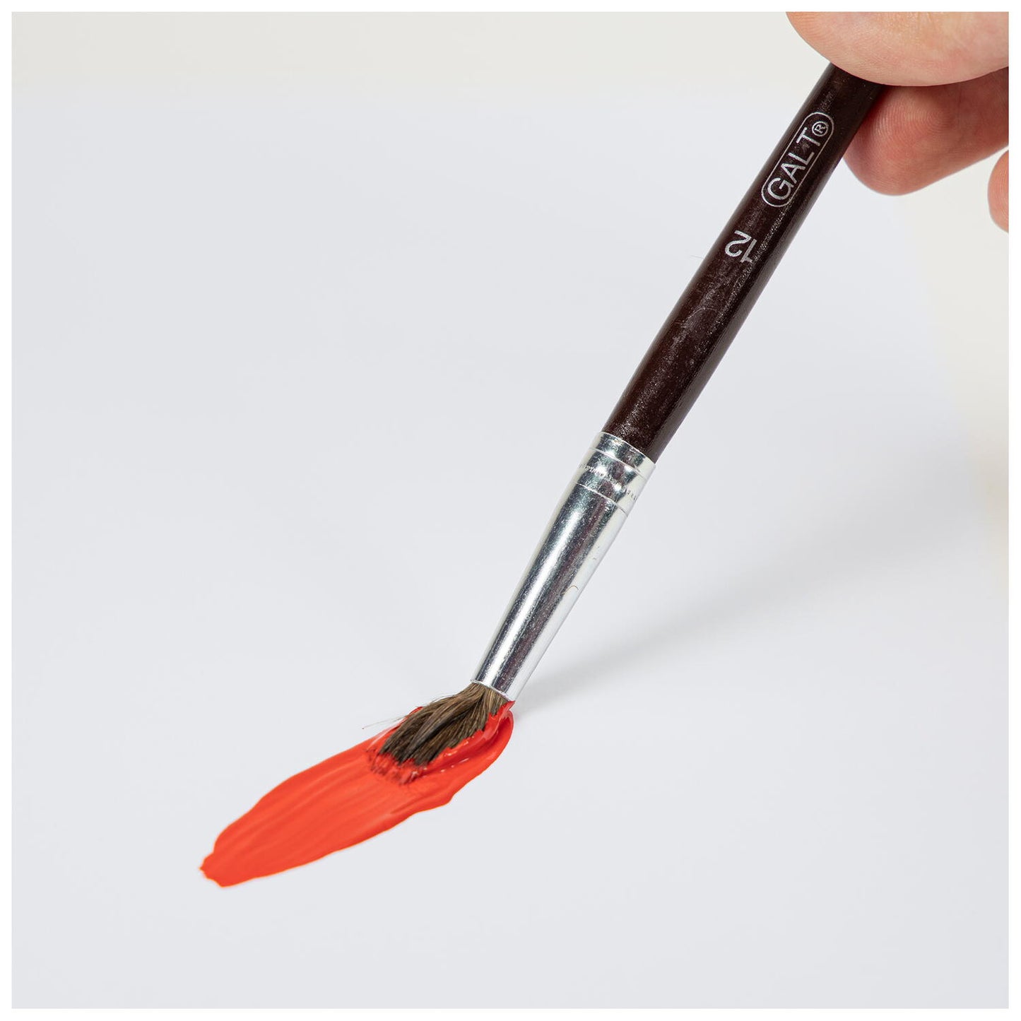 Set 5 pensule pictura