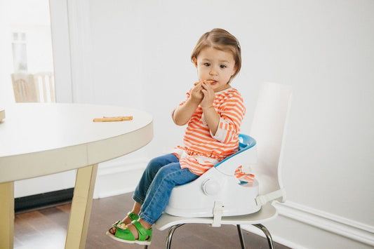 Prince Lionheart 7034