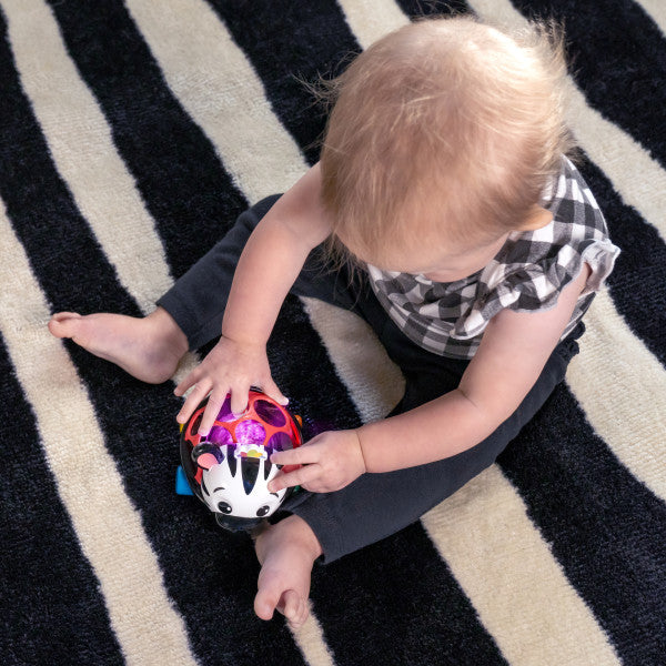 Baby Einstein Masinuta zornaitoare "Curious Car Zen Oball" - imaginea 11