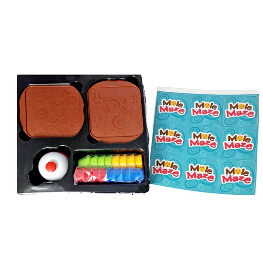 Joc STEAM 2 in 1 - Labirintul cartitei