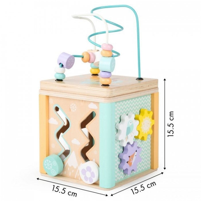 Cub educational din lemn cu labirint si sortator Ecotoys HM015472