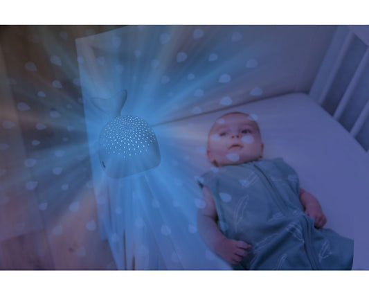 Zazu Kids ZA-WALLY-03