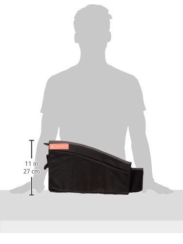 Prince Lionheart 0350