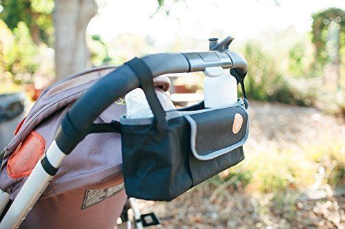 Prince Lionheart 0356