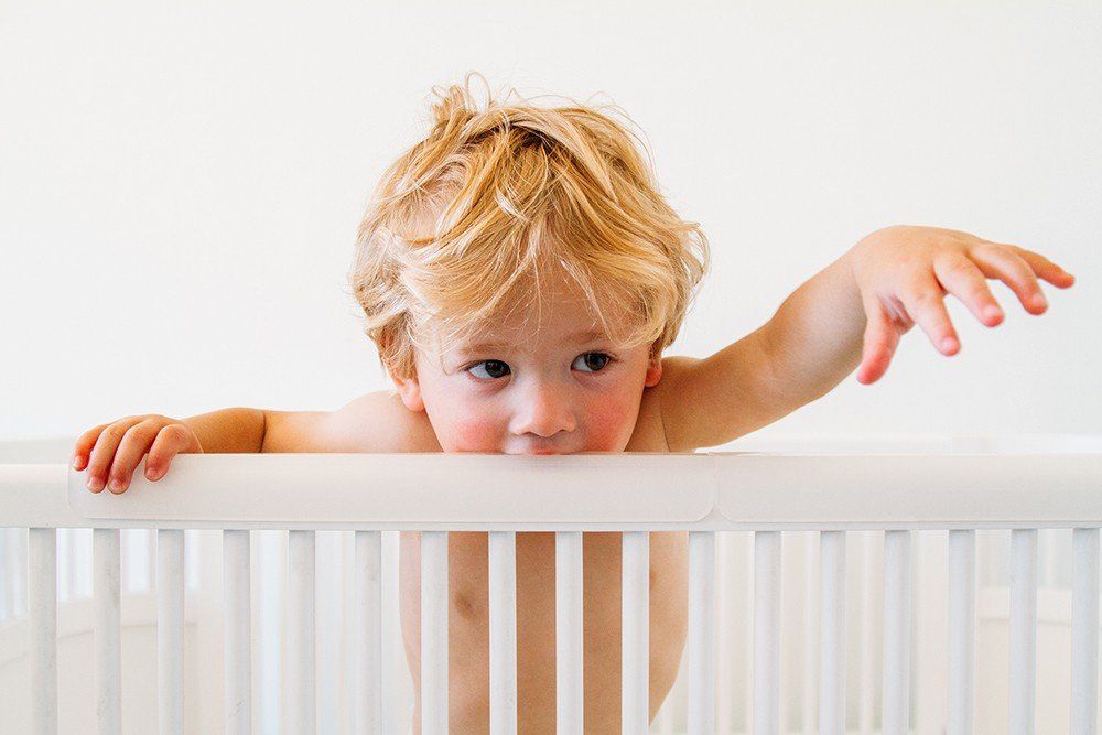 Prince Lionheart 5207