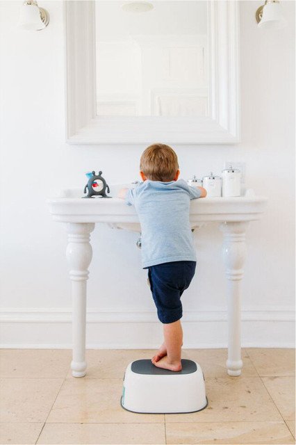 Prince Lionheart 7371