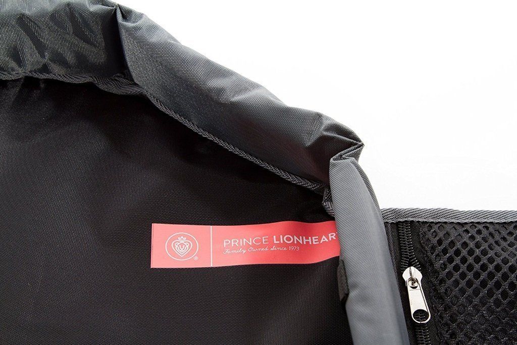 Prince Lionheart 0358