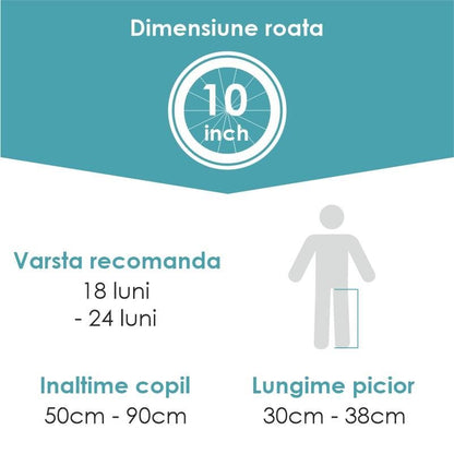 Balance bike Qplay Impact Rosu