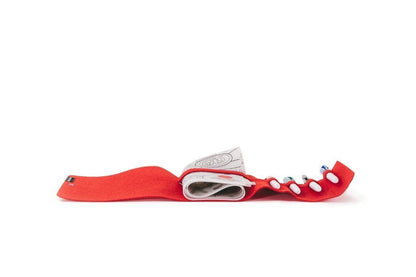  Prince Lionheart 0404