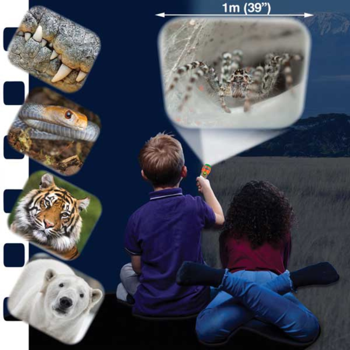 Proiector tip lanterna - Cele mai periculoase animale