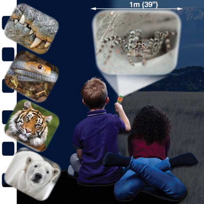 Proiector tip lanterna - Cele mai periculoase animale