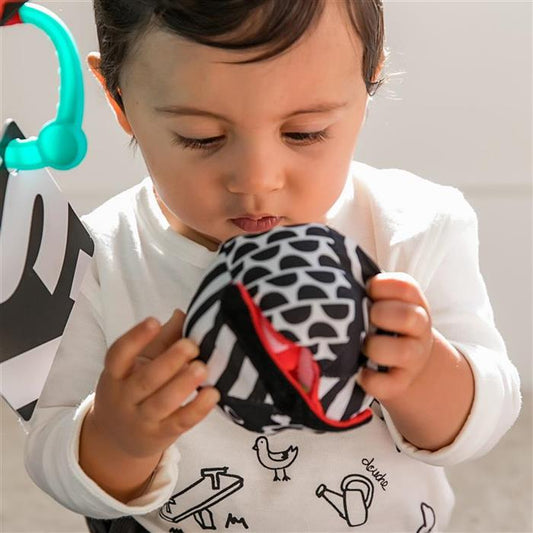 Baby Einstein - Salteluta de activitati Bold New World