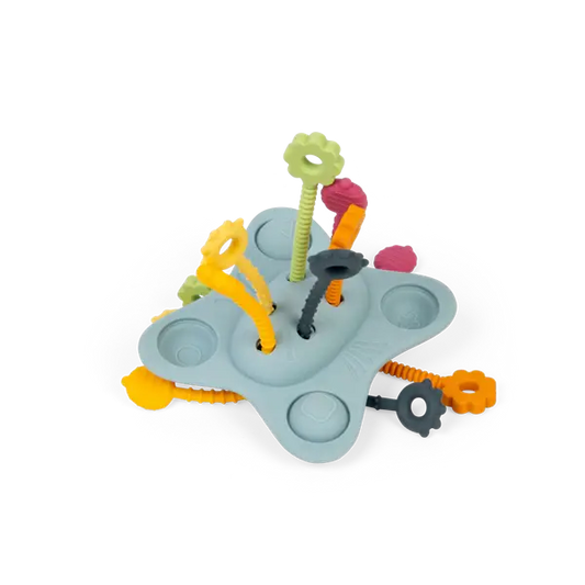 Jucarie senzoriala - Trage, impinge, apasa