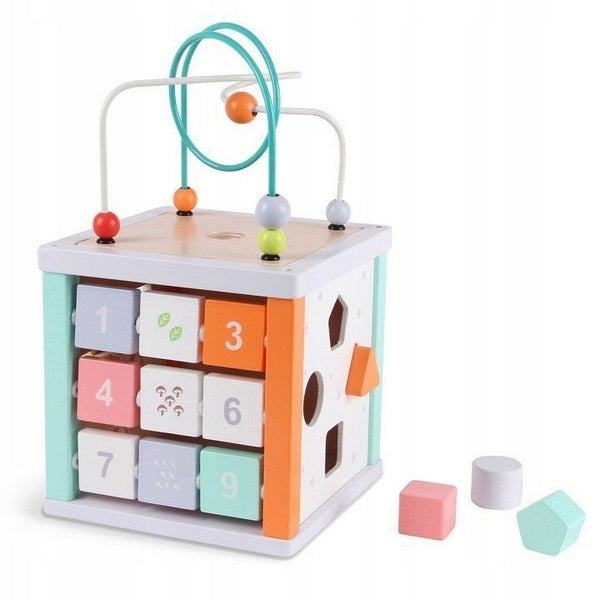 Cub educational din lemn Ecotoys 1031