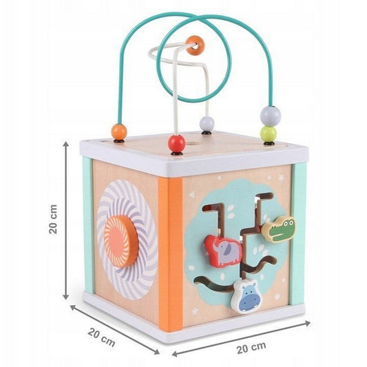 Cub educational din lemn Ecotoys 1031