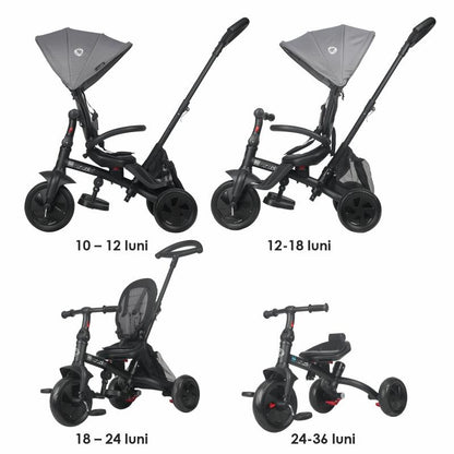 Tricicleta multifunctionala Coccolle Alegra Greystone