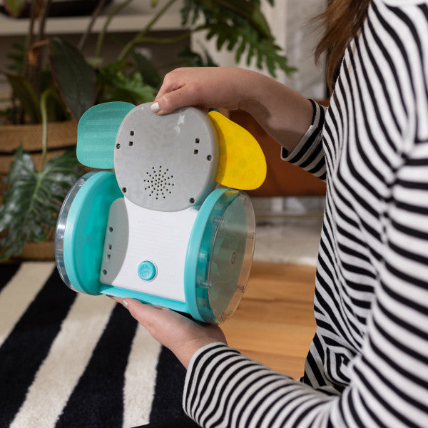 Baby Einstein - Jucarie interactiva, "Chase & Tap Earl"