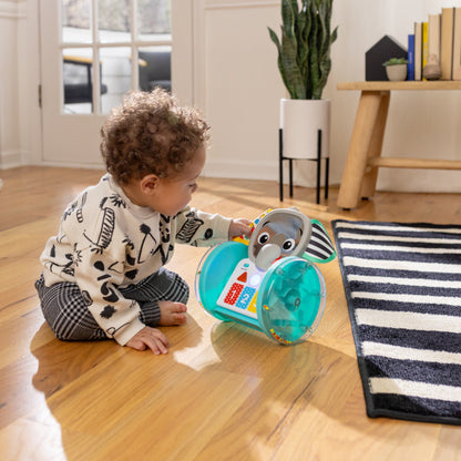 Baby Einstein - Jucarie interactiva, "Chase & Tap Earl"
