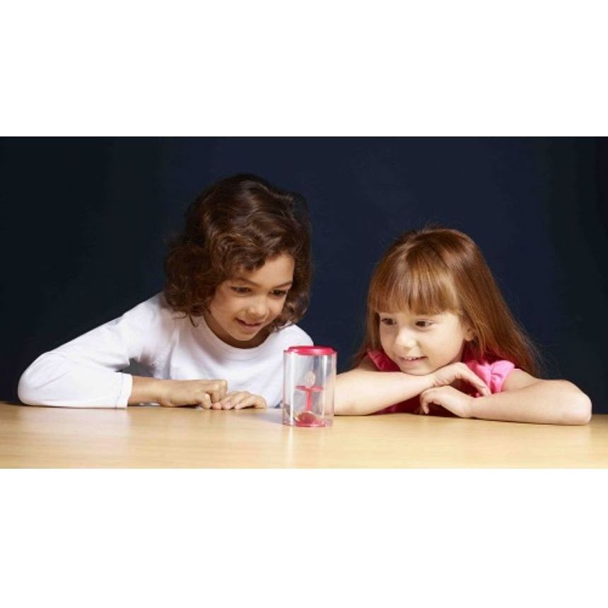 Pusculita Brainstorm Toys E2048