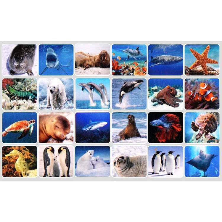 Lanterna proiector cu 3 diapozitive Animale Marine Bambinice BN019