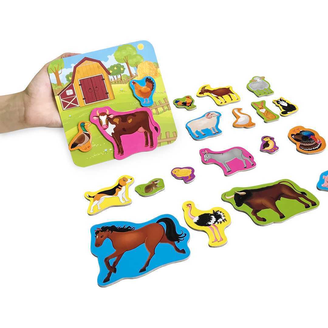 Set magnetic Animale de la Ferma cu Plansa magnetica inclusa, 21 piese Roter Kafer RK2090-01