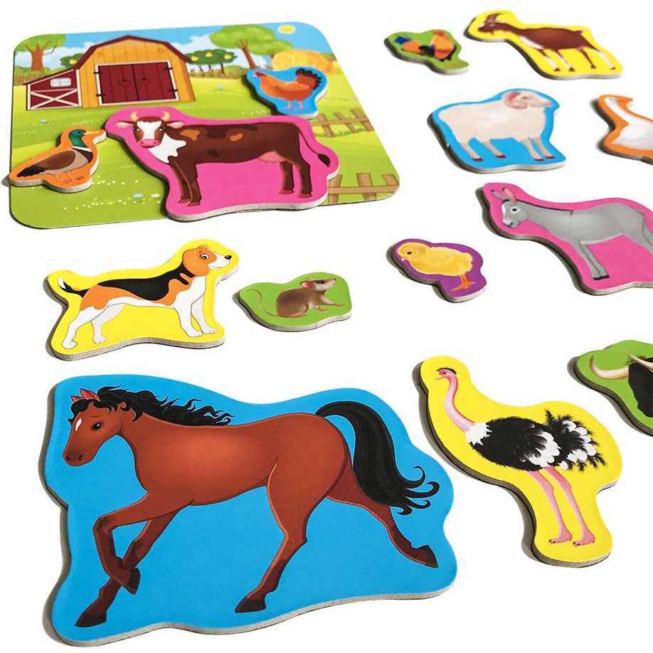 Set magnetic Animale de la Ferma cu Plansa magnetica inclusa, 21 piese Roter Kafer RK2090-01