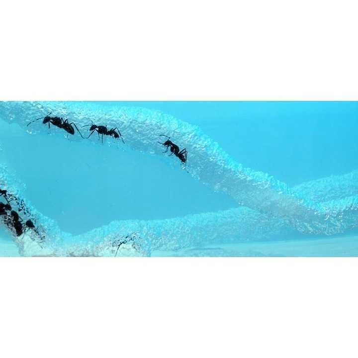 Ferma de furnici Ikonka IK17738