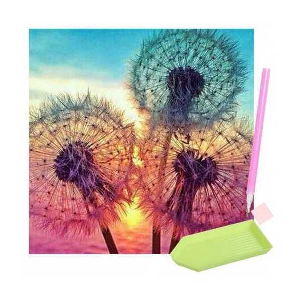 Set creativ cu diamante rotunde Diamond Painting 30x30 cm Papadie Iso Trade MY17811