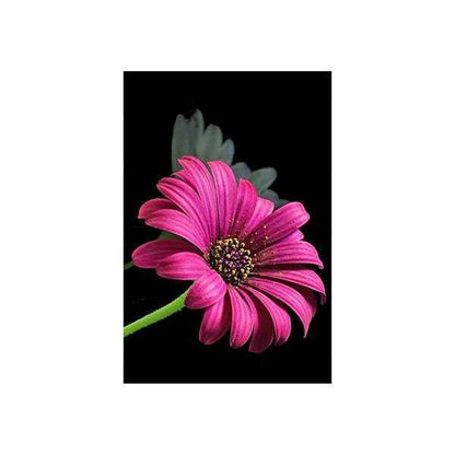 Set creativ cu diamante rotunde Diamond Painting Nature 15x10 cm Toi-Toys TT47160Z