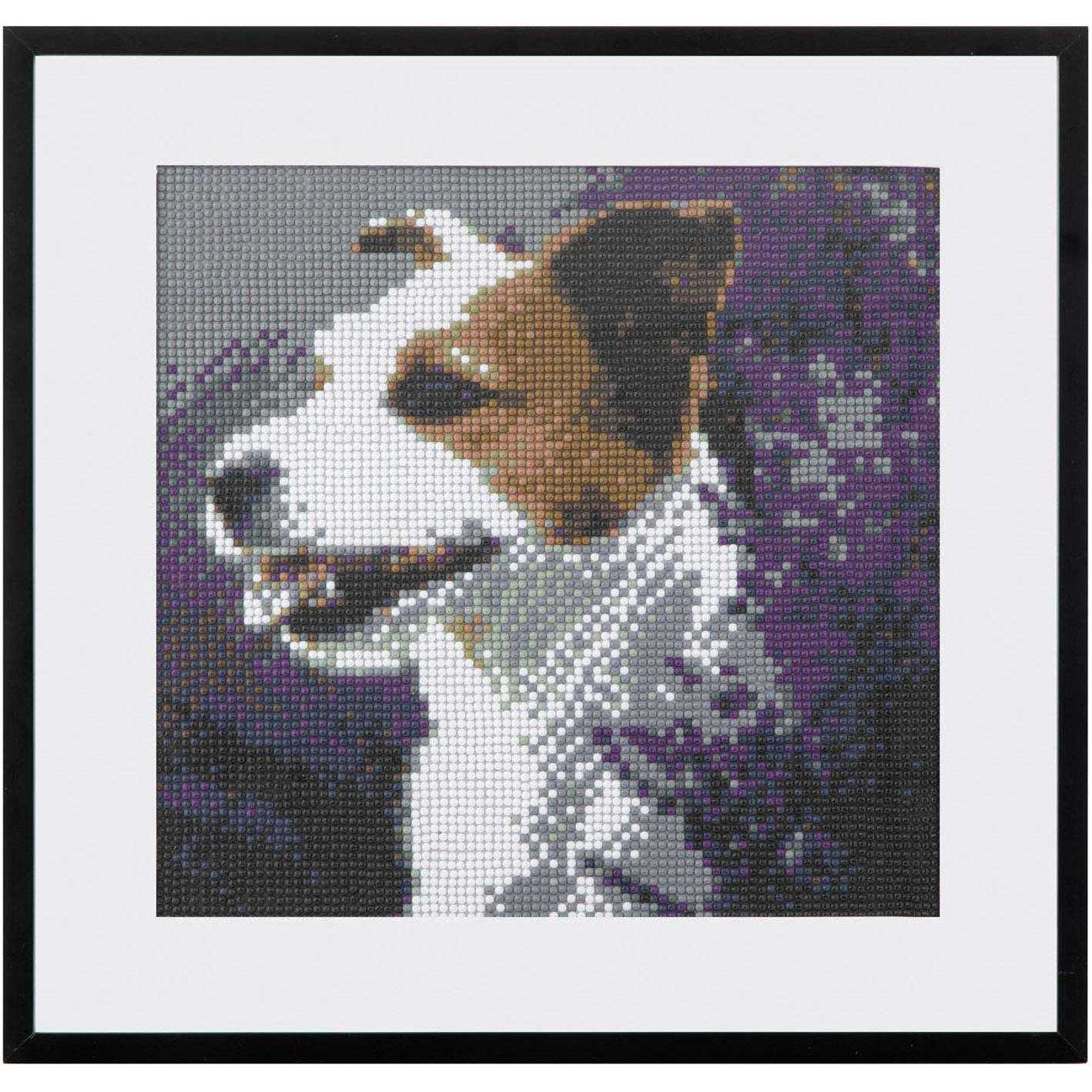 Set creativ cu diamante rotunde Diamond Painting 30x30 cm Grafix GRCR2009-22GE