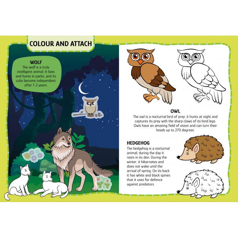 Primul set de arta & lucru manual - Animalute