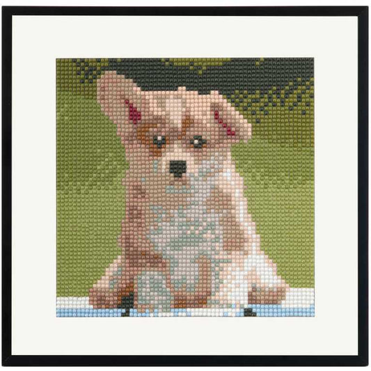 Set creativ cu diamante rotunde Catelus Diamond Painting 20x20 cm Grafix GRCR2092-23GE1