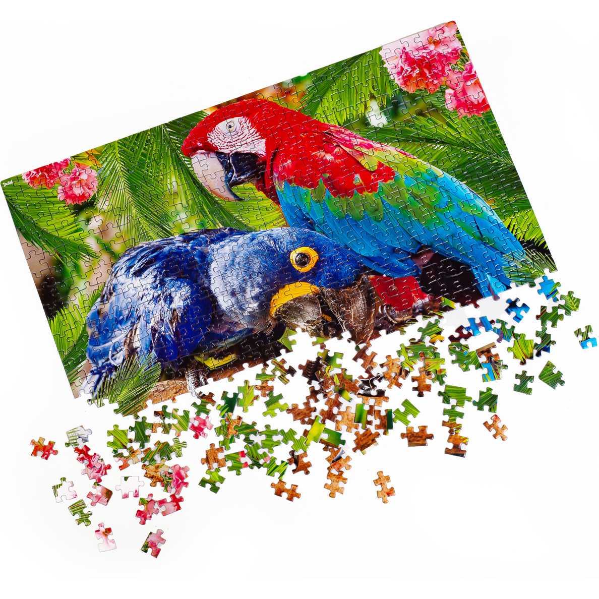 Puzzle Parrots, 32x47 cm, 500 piese De.tail DT500-01