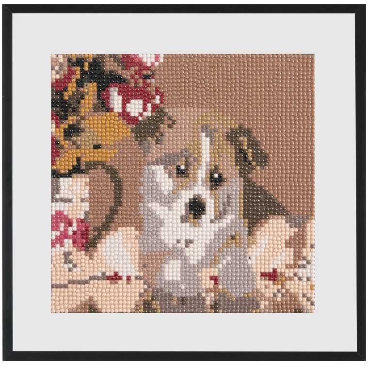 Set creativ cu diamante rotunde Catel Diamond Painting 20x20 cm Grafix GRCR2097-23GE3