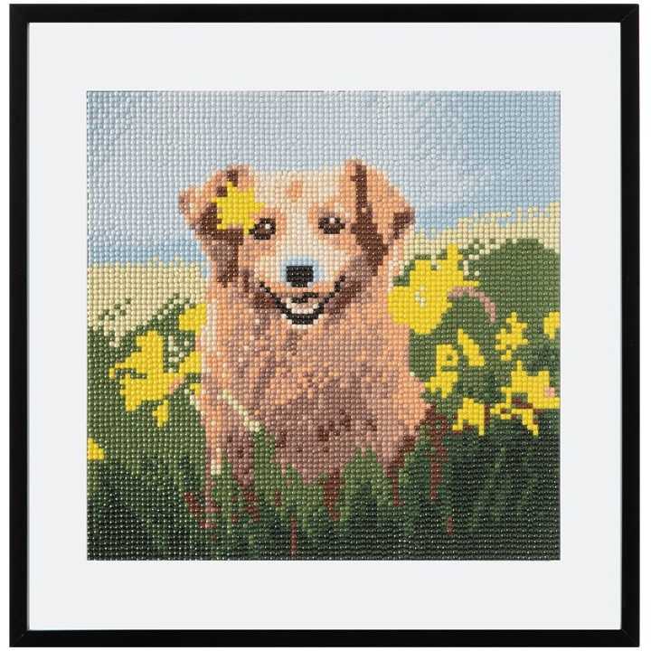 Set creativ cu diamante rotunde Caine Diamond Painting 30x30 cm Grafix GRCR2098-23GE3