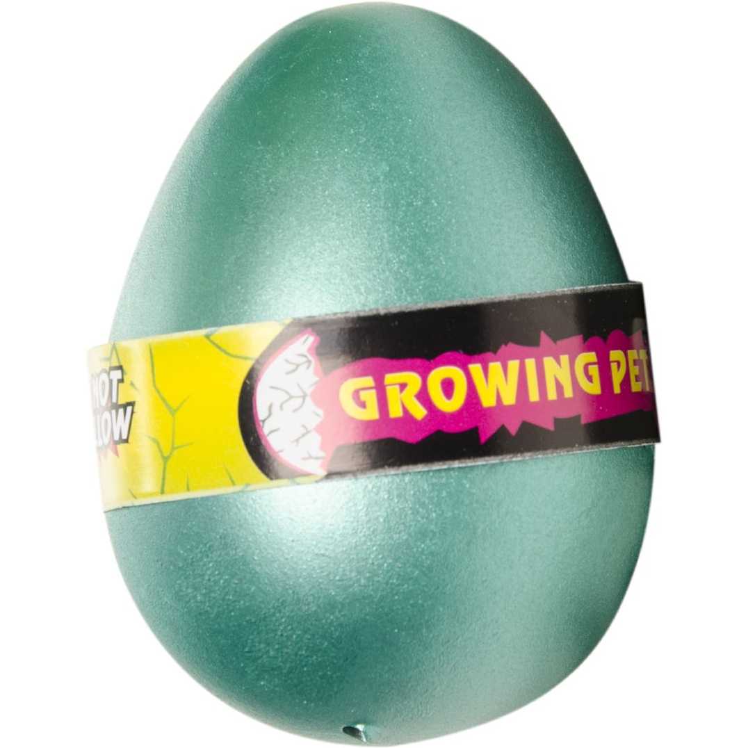 Jucarie Ou Crocodil care eclozeaza si creste in apa LG Imports LG9256