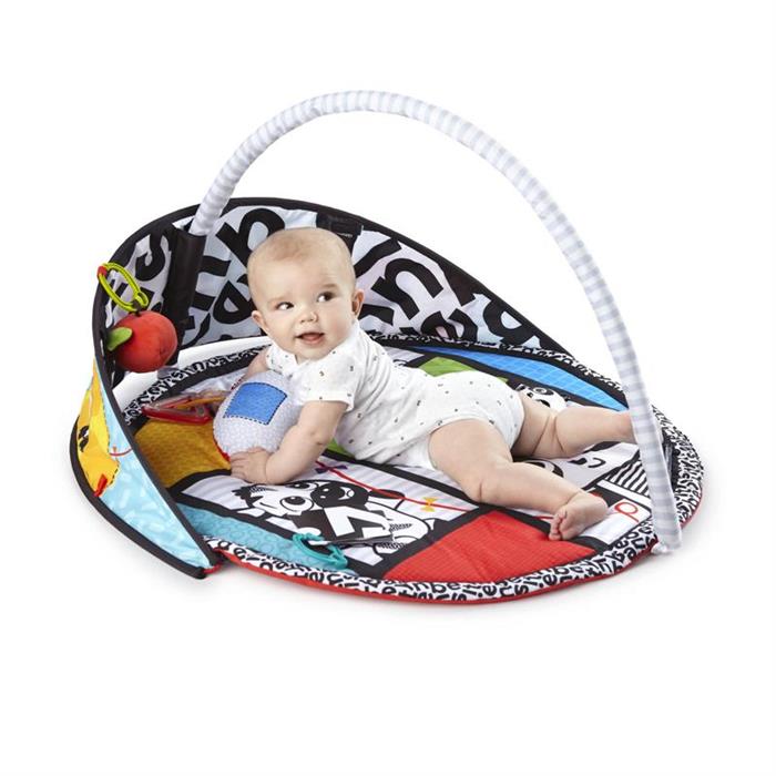 Baby Einstein - Salteluta de activitati Bold New World