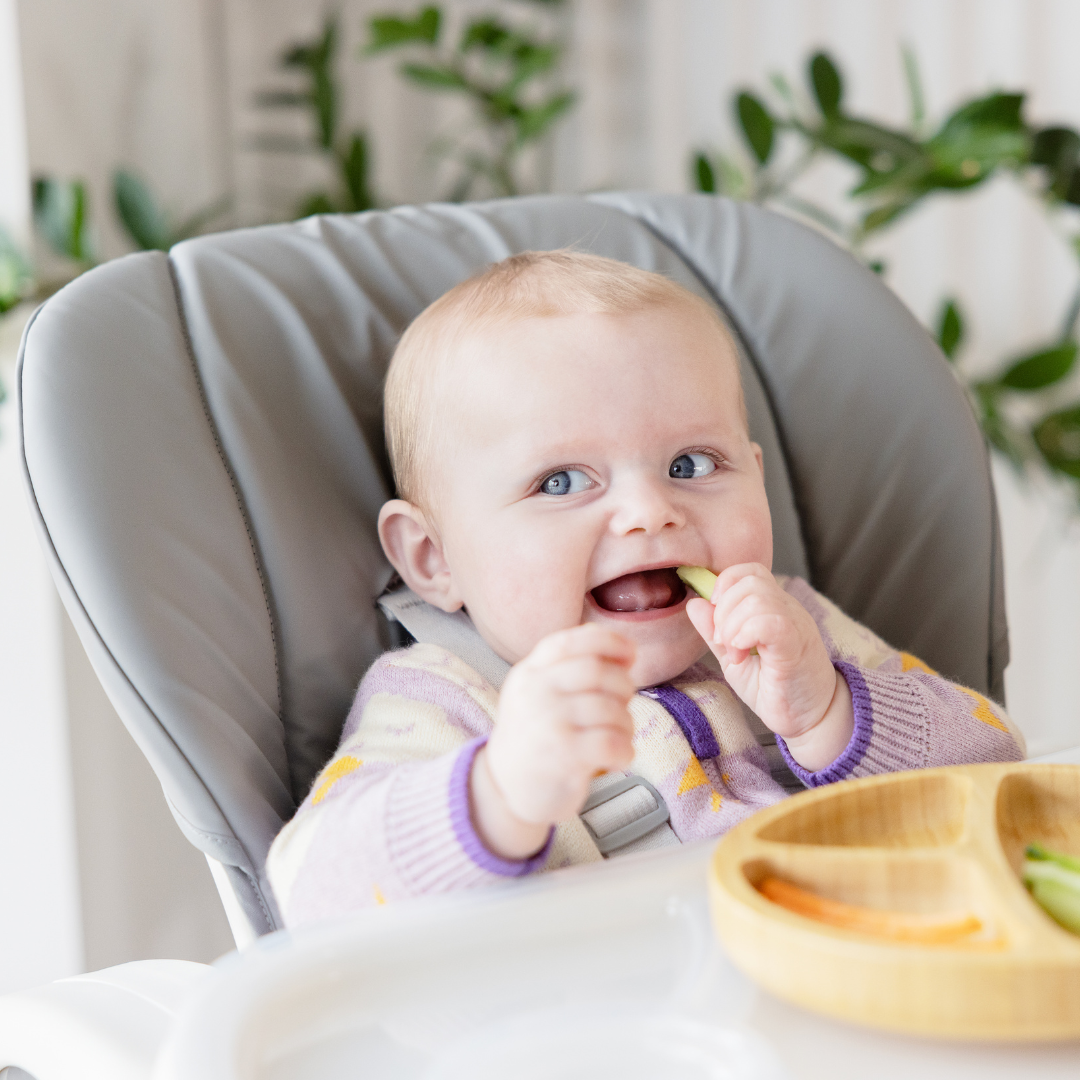 Joie - Scaun de masa Mimzy Recline Walnut Wood, nastere - 15 kg