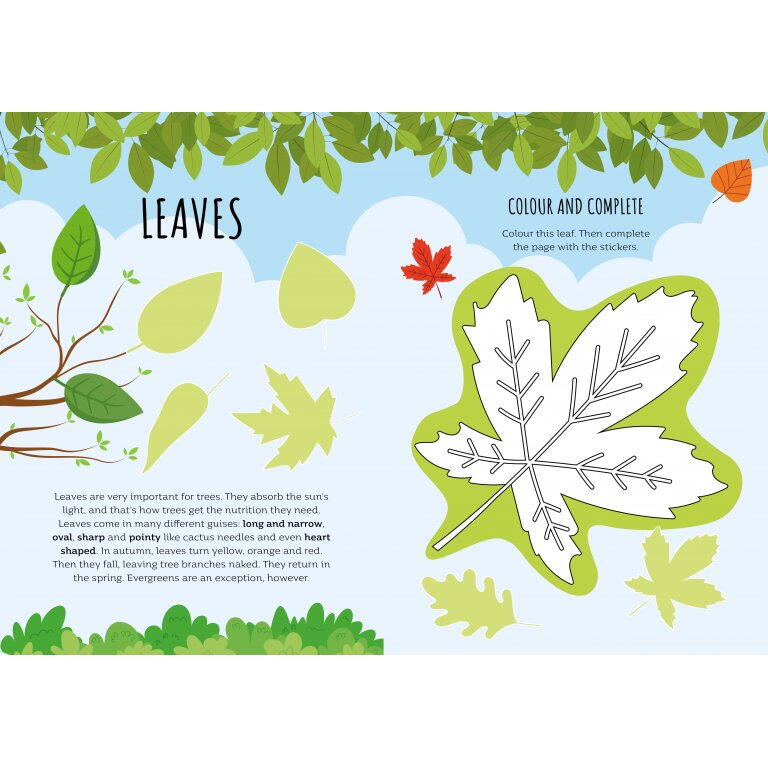 Carte de activitati cu abtibilduri - In natura