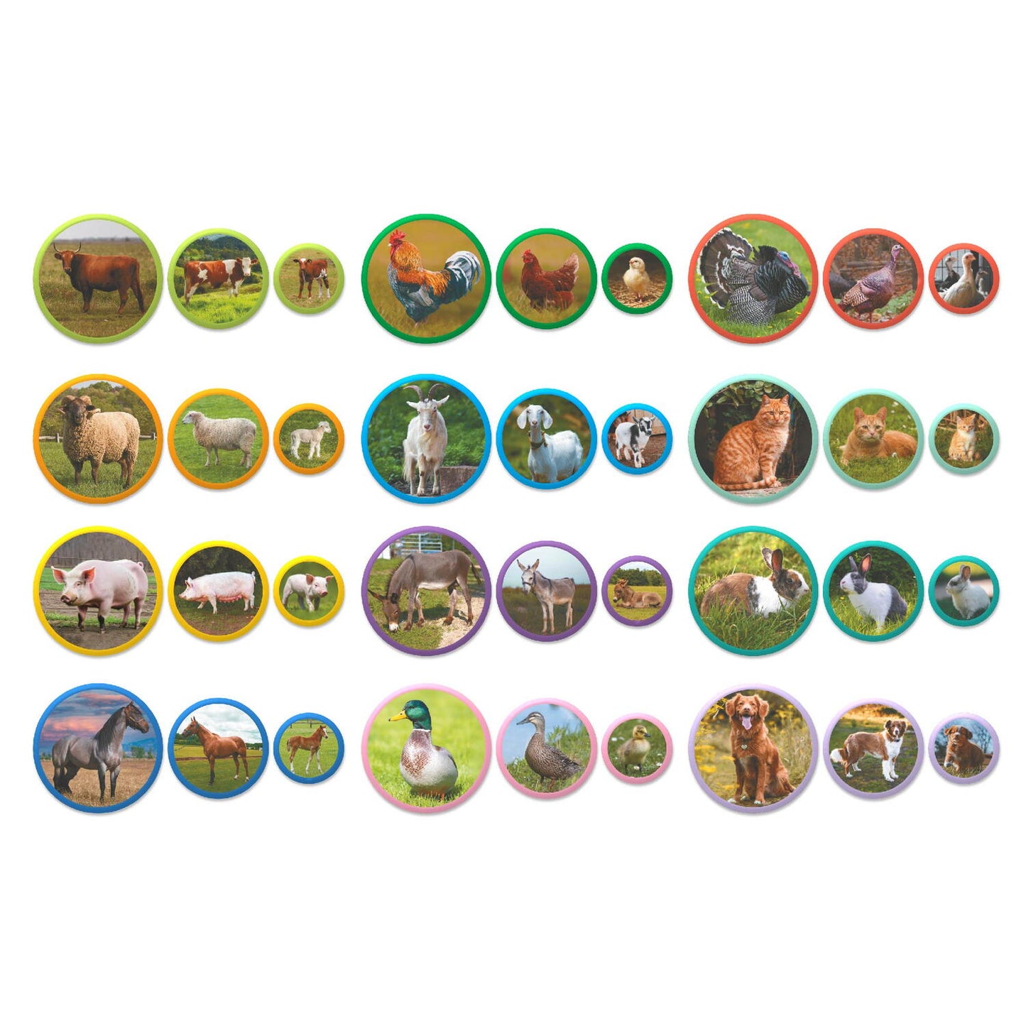 Set magneti Montessori - Animale de la ferma