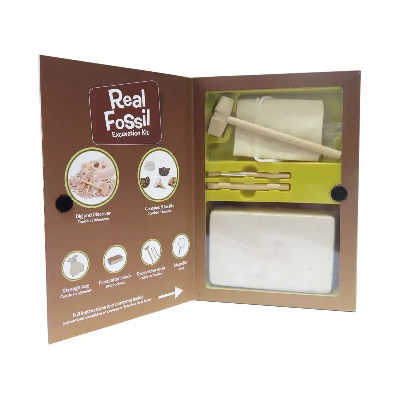 Kit paleontologie - Descopera fosile
