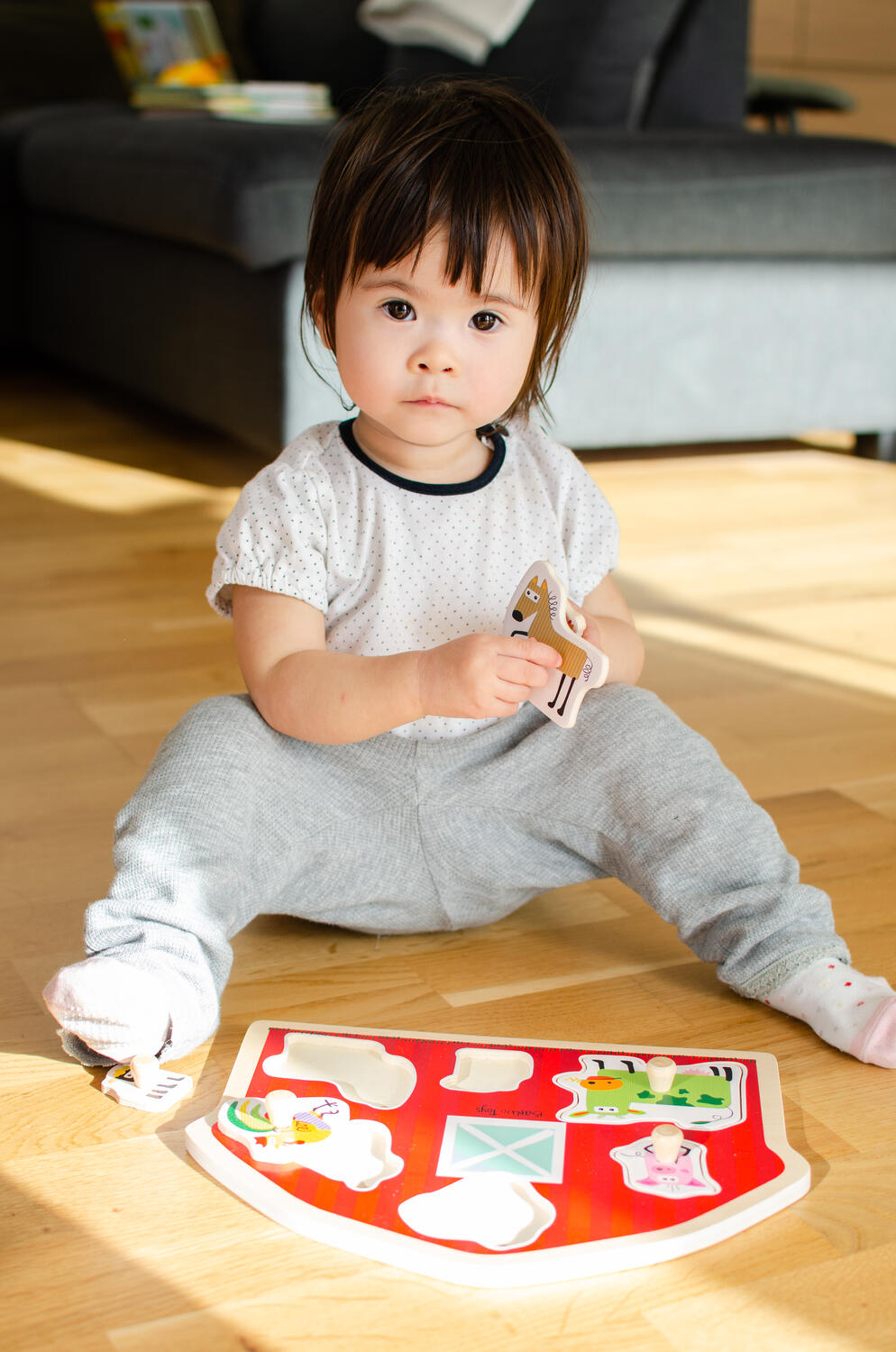 Puzzle din lemn - Casuta animalutelor