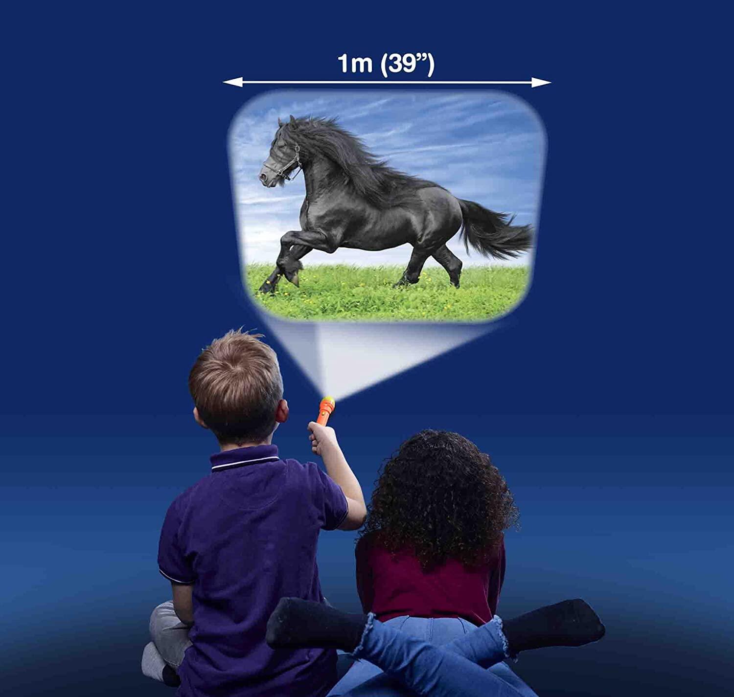 Proiector tip lanterna - Caluti