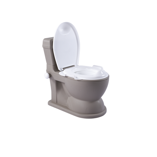 Olita educationala multifunctionala 2 in 1 - Gri mat