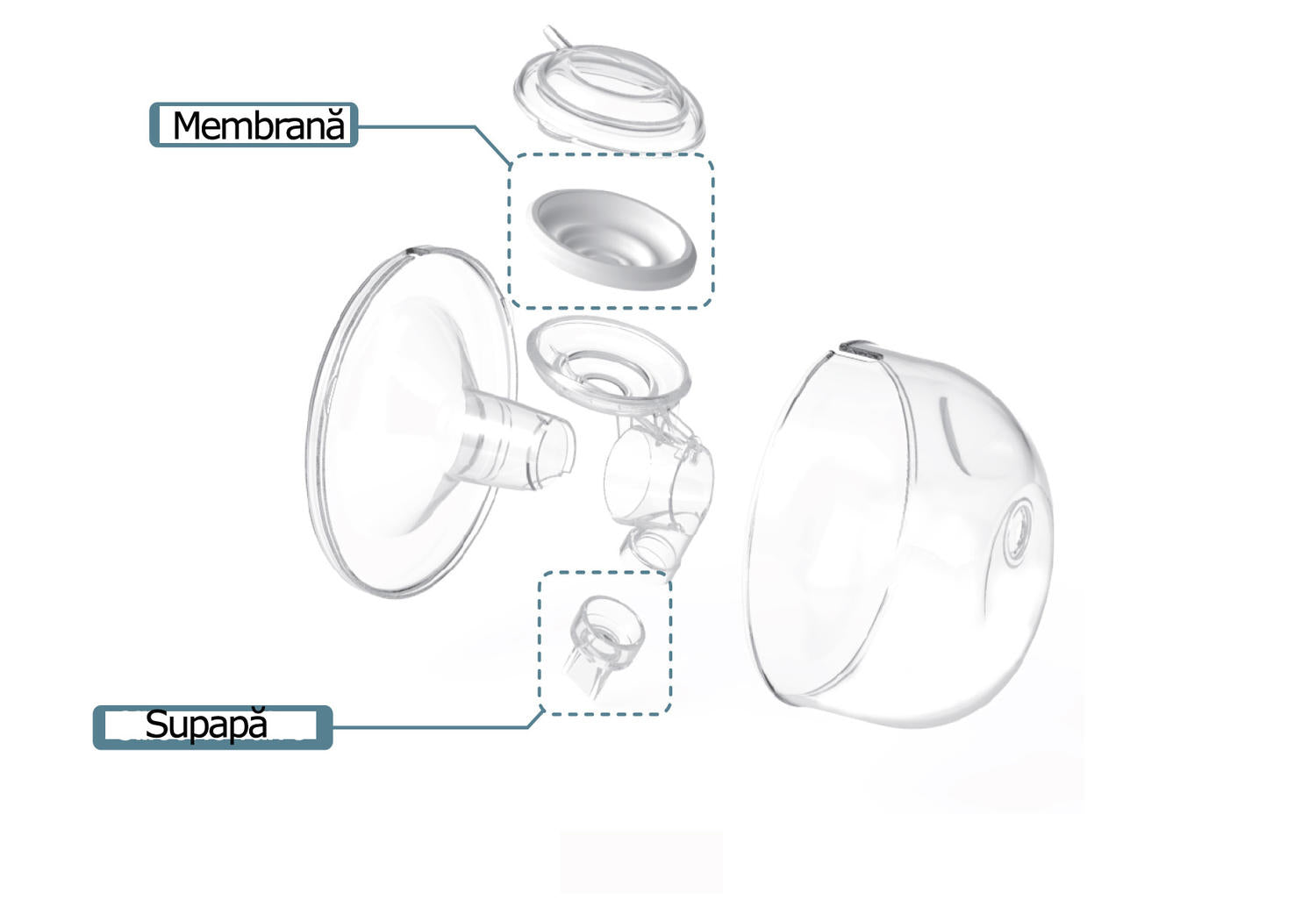 Set Cupe Hands Free (24 mm)