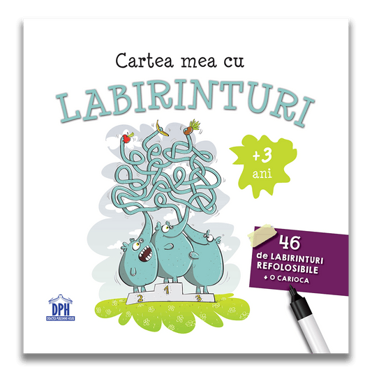 Cartea mea cu labirinturi