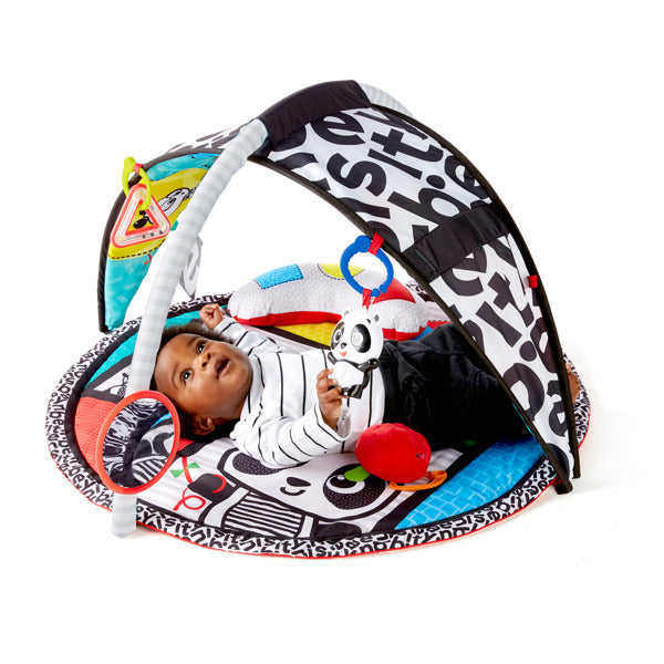 Baby Einstein - Salteluta de activitati Bold New World