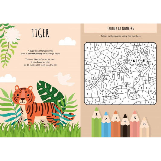 Carte de activitati cu abtibilduri - Jungla